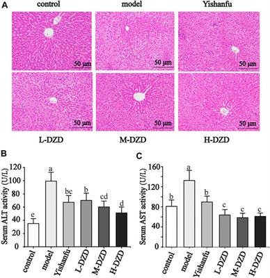 Protective Effect of Danshen Zexie Decoction Against Non-Alcoholic Fatty Liver Disease Through Inhibition of ROS/NLRP3/IL-1β Pathway by Nrf2 Signaling Activation